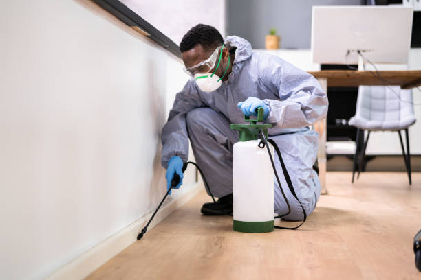 Pest Control Services Chattanooga Pest Control